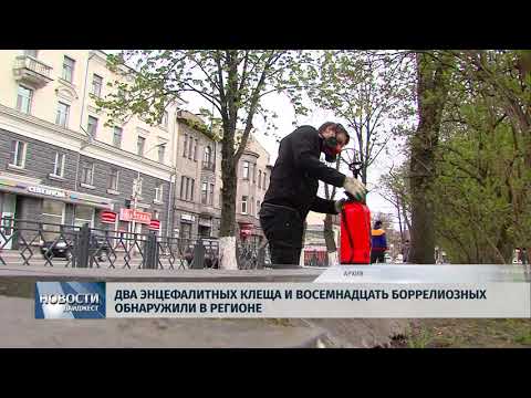 Новости Псков 19.07.2018 # Два энцефалитных клеща и восемнадцать боррелиозных обнаружили в регионе 