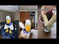 Donald Duck Meets Donald Duck Worms