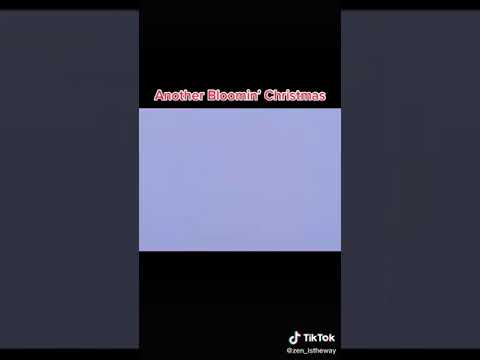 father Christmas , another bloomin' Christmas song