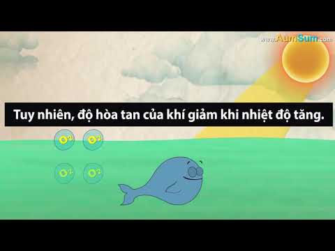 Lý do nhiệt độ nước cao có hại cho cá
