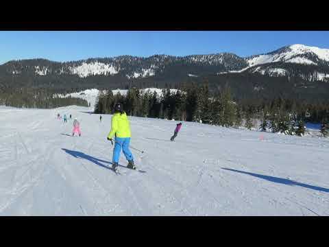 Wimklmoosalm abfahrt 22 1 2019