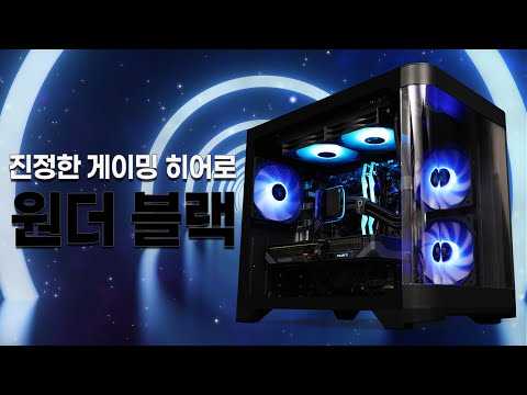 AMD 9600 / RX 9060 XT 【원더 블랙】