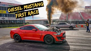 First Big Race with The Cummins Mustang