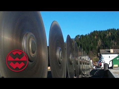 Baumfällen extrem - Welt der Wunder