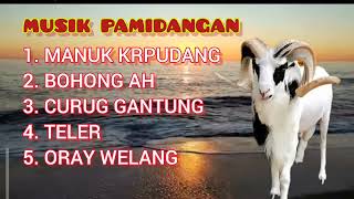 Download lagu FULL ALBUM MUSIK PAMIDANGAN🔴penggemar ketangkasan domba garut#popsunda #dangdut mp3 Download lagu FULL ALBUM MUSIK PAMIDANGAN🔴penggemar ketangkasan domba garut#popsunda #dangdut mp3