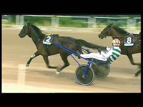 Trotto 29/05/2020 - 4ª corsa