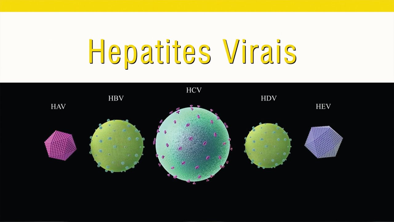 Hepatites Virais