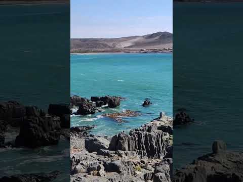Laguna El Totoral - Región de Atacama