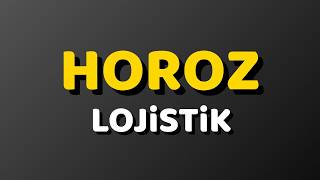HOROZ Hissesi Ne Olur? Horoz Lojistik Teknik Analiz ve Hedef Fiyatlar 
