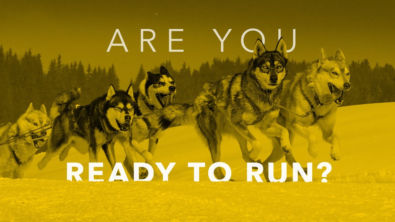 Husky Nation Unleashed