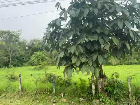 SE VENDE LOTE EN HUMADEA GUAMAL -Meta
