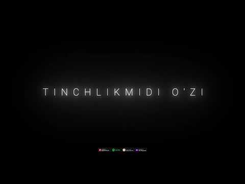 Shokir, Ruhsora Emm - Tinchlikmidi o'zi ? (Audio)