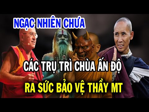 Ngạc nhiên chưa, các vị trụ trì Ấn Độ ra sức bảo vệ Sư Minh Tuệ trước bão truyền thông