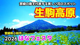 【宮崎県小林市観光】生駒高原　2026はなフェスタ完全ガイド！　宮崎旅行　宮崎散歩