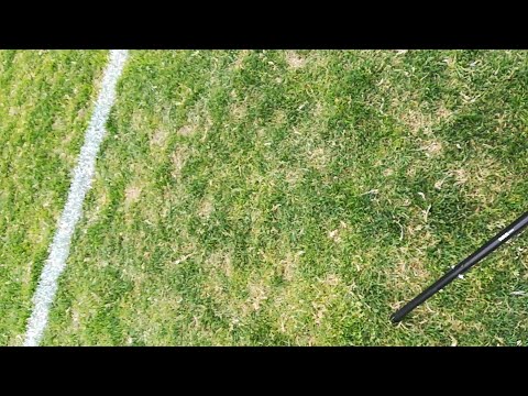 Live video 16.6.2018 5.02.52 ip.