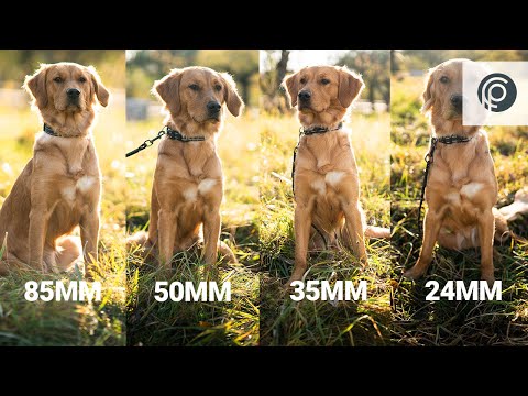Die besten f/1.4 Objektive? Vergleich & Test | 24mm vs. 35mm vs. 50mm vs. 85mm | Sony