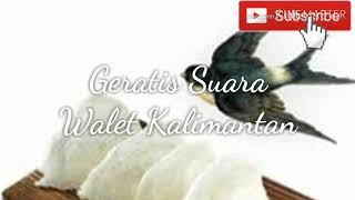 Download lagu SUARA PANGGIL BURUNG WALET MP3 | BINTANG 7 | SUARA WALET TV mp3 Download lagu SUARA PANGGIL BURUNG WALET MP3 | BINTANG 7 | SUARA WALET TV mp3