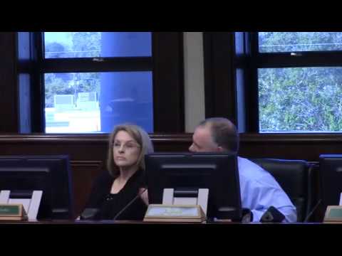 5 b. Consideration of Regional T-SPLOST @ LCC Work - 2017-03-27