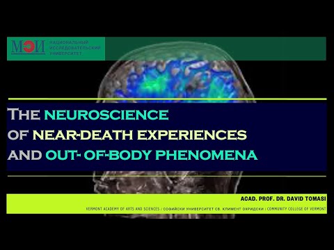 Neuroscientist talks about Near Death Experience (NDE)