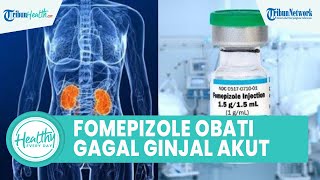 Mengenal Fomepizole yang Bisa Obati Gagal Ginjal Akut, Ini Cara Kerja dan Efek Samping untuk Tubuh