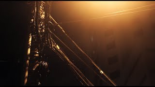 Muse -  Nishe [cover]