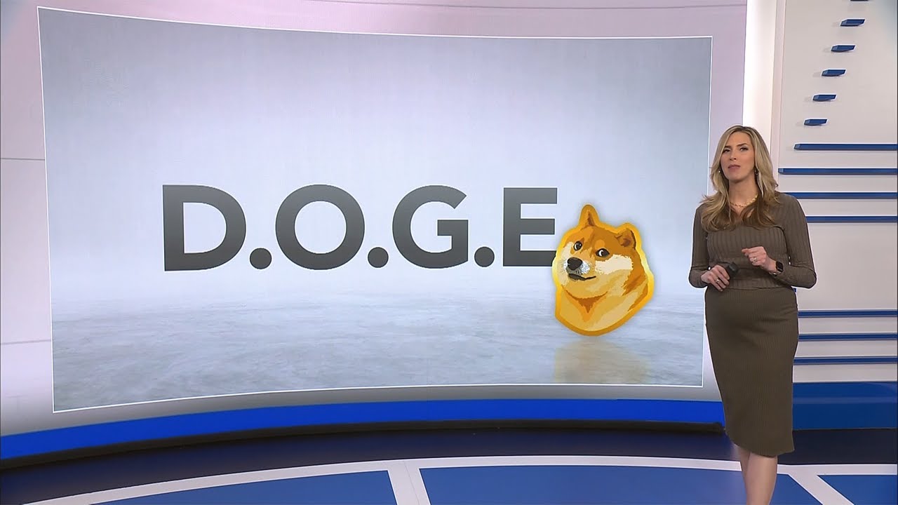 What is D.O.G.E, and how much power will it have?