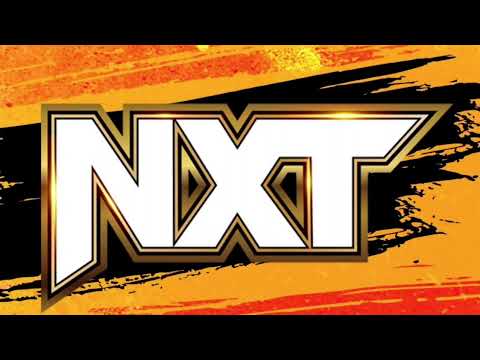 Identity Of Hooded Distraction On Recent NXT Episode