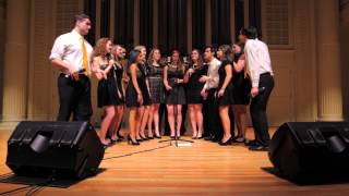 Come Together/Dig it Up Mashup (The Beatles/Holes) - Vital Signs A Cappella