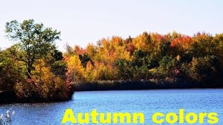 Autumn Colors Philadelphia Suburbs ~ Moonlight Sonata (by Beethoven)