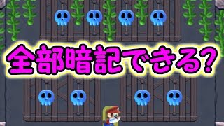 全てのエフェクトと配置を覚えて!!覚えれるかな？【マリオメーカー実況】