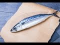 How To Revive A Fish
