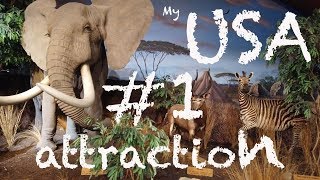 Top 1 Attraction in USA, Must visit, Only in America Cabela's Superstore
