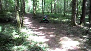 Le retour de Dylane dans le bois d'Arbecey