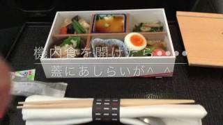 JAL B787離陸シルエットと機内食