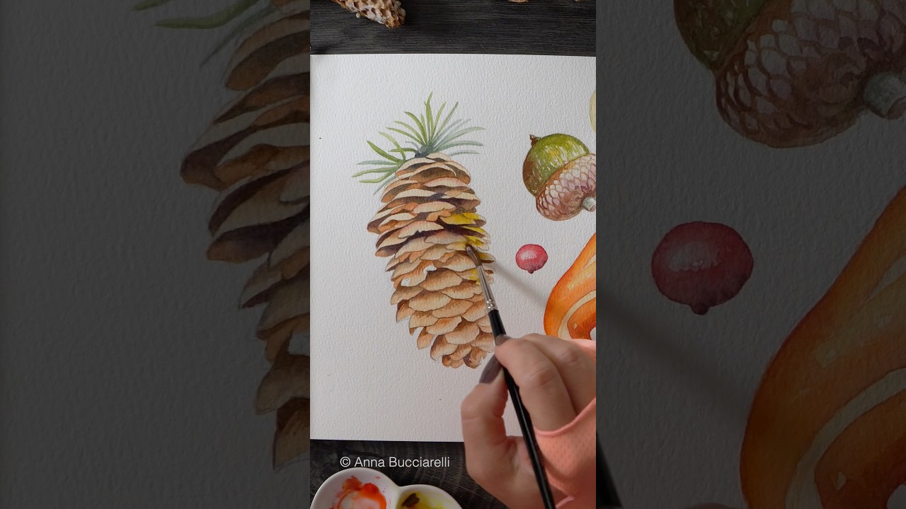 Tiny Watercolor Pinecone 🌲