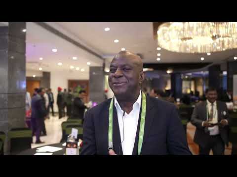 Mr. Ribi Adeshokan Shares insights - The GEEF Global Clean Energy Summit 2025