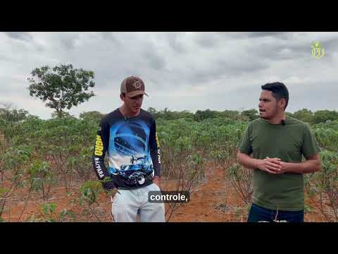 visita tecnica produção de farinha -QUARTEL GERAL-