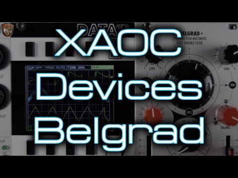 Xaoc Devices BELGRAD - DUAL PEAK MULTIMODE STATE VARIABLE FILTER MODEL OF 1976 image 7