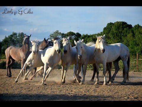 J'ai rencontré Jean-François Pignon cet été !