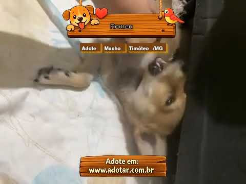 Vídeo de Romeu
