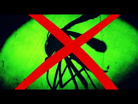 🦟 Sonido AHUYENTA  MOSQUITOS  🦟 para exteriores  🦟 FUNCIONA