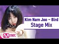 Namjoo - Bird (StageMix)