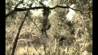 Sunrise Drive Goodbye Pieter &amp; Hayden 5/10/2015