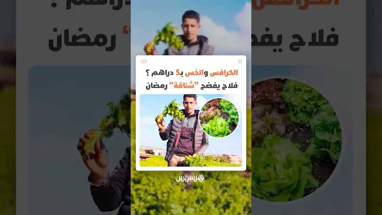 "الكرافس والخس" من درهم واحد إلى 5 دراهم ؟.. فلاح يفضح "شناقة" رمضان thumbnail