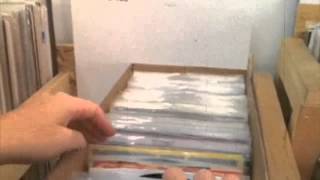 Echo Birds is coming...