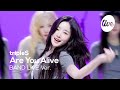 4K TripleS Are You Alive Band LIVE It S Live K POP Live Music Show