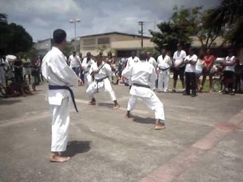 Embu - xô preguiça