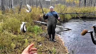 Ловить хариуса на морду осенью