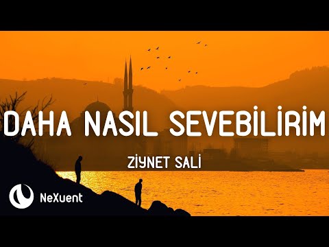 Ziynet Sali - Seni Daha Nasıl Sevebilirim (Lyrics/Sözleri)