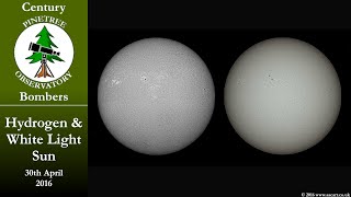 Hydrogen Alpha and White Light Sun Comparisons